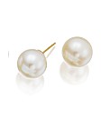 9ct Gold South Sea White Pearl Earrings