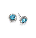 9ct White Gold Blue Topaz Earrings