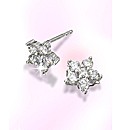 9ct White Gold Flower-Shaped Earrings