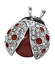 Ladybird Brooch