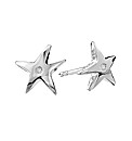 Hot Diamonds Star Earrings