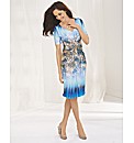 Apanage Animal Print Ombre Jersey Dress