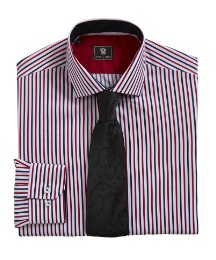 Steel & Jelly Stripe Shirt
