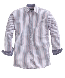 Double Two Stripe Shirt