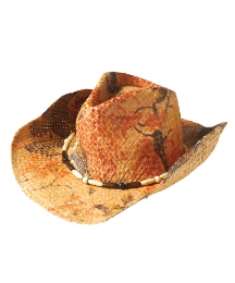 Joe Browns Hat