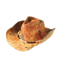 Joe Browns Hat