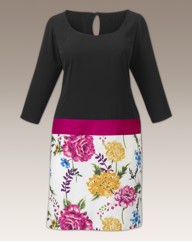 Flower Print Drop Waist Dress