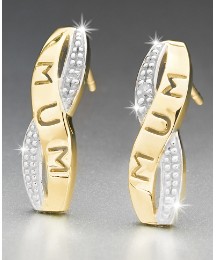 9 Carat Family Diamond Earrings