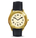 Talking Mans Gold Finish Analogue Watch