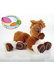 Toffee the Pony