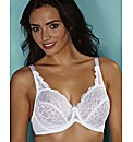 Imogen Rose Full Cup Lace Bra