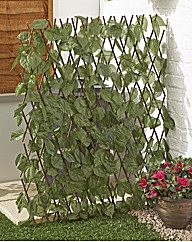 Extending Fence with Leaves