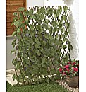 Extending Fence with Leaves
