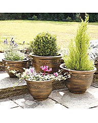 Set of Two Planters Buy One Get One Free