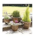 Set of Two Planters Buy One Get One Free