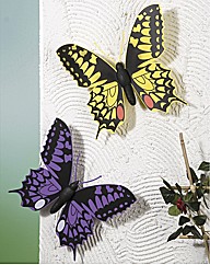 Jumbo Butterflies Set 2