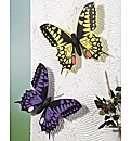 Jumbo Butterflies Set 2