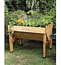 Vegtrug Small