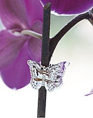 Orchid Clips Pack 12