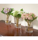 Lacecap Hydrangea in Vase