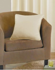 Lyncombe Filled Cushion Pair