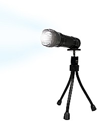 Torch and Stand
