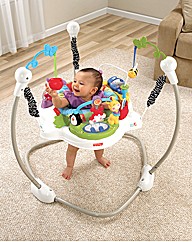 Fisher Price Discover & Grow Jumperoo