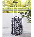 Revelation Zygo Animal Cabin Case