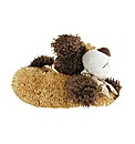 Divaz Cuddle Dogs Slipper
