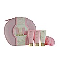 Grace Cole Travel Luxuries Vantiy Case