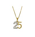 9ct Gold Diamond Set 25 Necklace