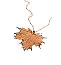 Jumbo Rose Gold Maple Leaf Necklace