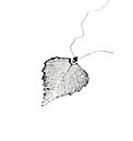 Jumbo Silver Birch Leaf Necklace
