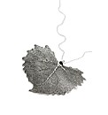 Jumbo Cotton Wood Silver Leaf Necklace