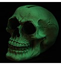 Gruesome Glow in Dark Skull Money Box