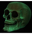 Gruesome Glow in Dark Skull Money Box