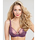 Paige Italian Lace DD+ Balconette Bra