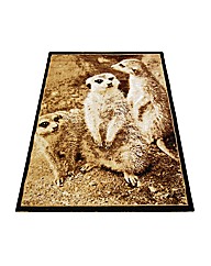 Meerkat Rug