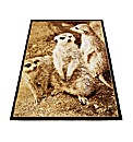 Meerkat Rug