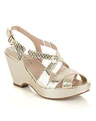 Daniel Geraldine Sandal