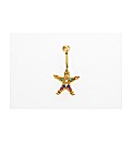 9ct Yellow Gold Crystal Clown Navel Bar