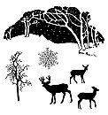 Claritystamps Winter Wonderland Kit - Le