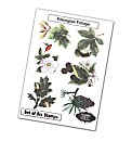 Stamps Away Collection - Foliage Stamps