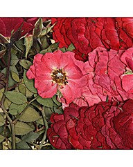 Joanna Sheen Real Roses