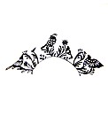 Paperself Pair Birds Lashes