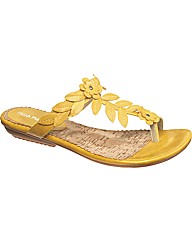 Hush Puppies Corsica Toe Loop Sandal