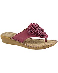 Hush Puppies Laze Toe Post FL Sandal