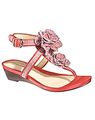 Hush Puppies BRIE QTR STRP Sandal