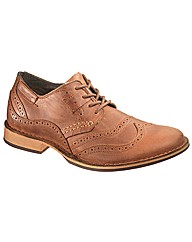 Cat Douglad Shoe