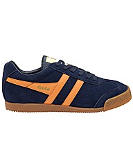 Gola Harrier